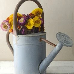 Richland Rustic Watering Can Metal 8in Weddings