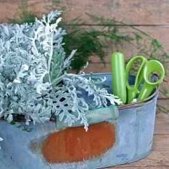 Richland Weathered Metal Caddy Gray