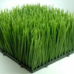 Richland Christmas Wheat Grass Mats 6x6 Interlocking