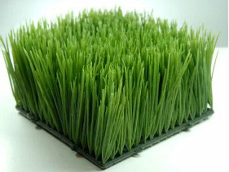Richland Christmas Wheat Grass Mats 6x6 Interlocking 2 Richland Christmas Wheat Grass Mats 6x6 Interlocking
