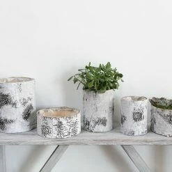 Richland White Birch Bark Bowl Vase 10x4.7 Weddings