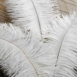 Richland Shop By Event 3 White Ostrich Feathers On Wire Stem 9in