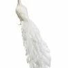 Richland White Peacock 27in Natural Feathers