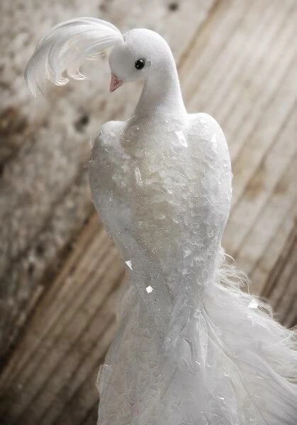 Richland Shop By Event White Feathered Peacock With Glitter 9" 2 Richland Shop By Event White Feathered Peacock With Glitter 9"