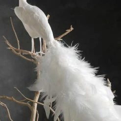 Richland Shop By Event White Feathered Peacock 16in
