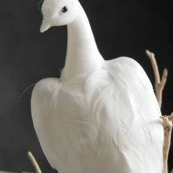 Richland Shop By Event White Feathered Peacock 16in