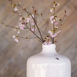 Richland Shop By Event Charleston Jug 7 Inch