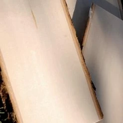 Richland Shop By Event Wood Plank With Bark 11 X 16"