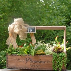 Richland Christmas Succulent Pearl Spray Green 13in