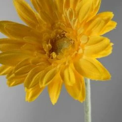 Richland 24 Royal Yellow Gerbera Daisy Sprays Thanksgiving