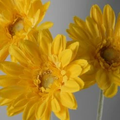 Richland 24 Royal Yellow Gerbera Daisy Sprays Thanksgiving