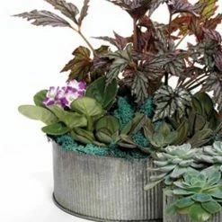 Richland Corrugated Zinc Pot 7.5"x 4" Norah Bowl Pots & Planters